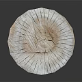 Garden Landscape Decorative Log With Natural Bark Texture And Smooth Cut Ends