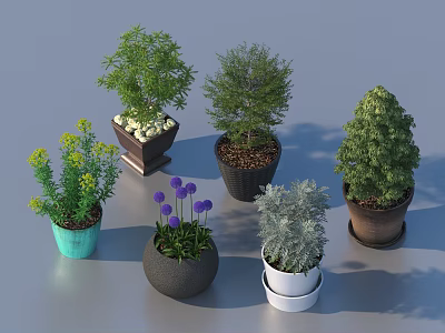Various Bonsai Potted Plants With Green Foliage Yellow Flowers And Colorful Ceramic Pots 3d model