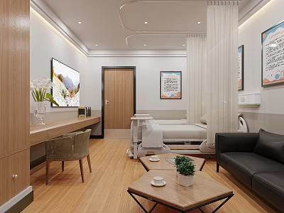 Modern Hospital Ward Interior With Wooden Furniture Bed Sofa Coffee Table And Wall Art 3d model