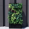 Vertical Green Plant Wall With Various Lush Green Leaves In Black Frame