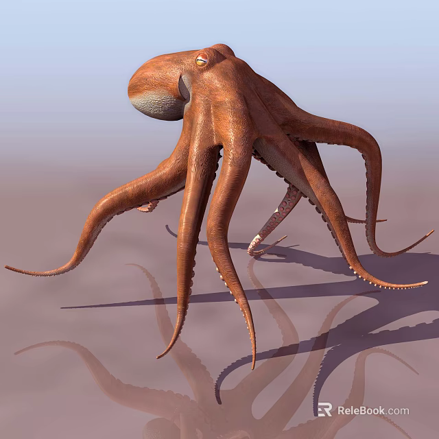 Brown Aquatic Octopus With Long Curved Tentacles And Visible Shadow On Surface 3d model 