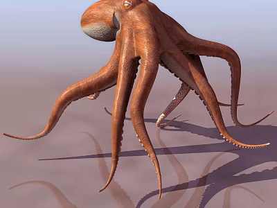 Brown Aquatic Octopus With Long Curved Tentacles And Visible Shadow On Surface 3d model