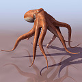 Modern Octopus 3d model