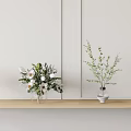 Minimalist Vases with Floral Arrangements on Wooden Shelf Featuring Green Foliage White Blooms and Light Wall