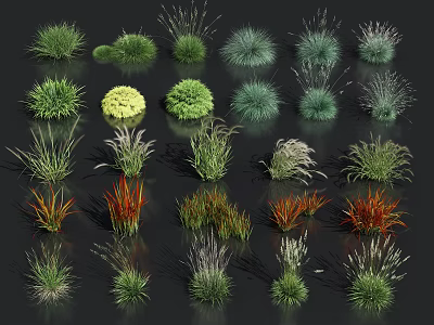 Diverse Varieties of Herbs and Grasses with Vibrant Green Yellow Red Colors Neatly Arranged 3d model