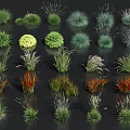 Diverse Varieties of Herbs and Grasses with Vibrant Green Yellow Red Colors Neatly Arranged