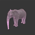 Detailed Elephant Sculpture With Large Ears Long Trunk And Textured Skin On Dark Reflective Surface
