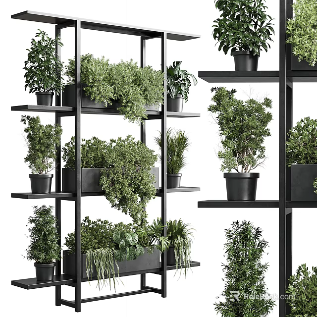 Bonsai Potted Plants Displayed On Black Multi Tiered Shelves For Indoor Decor 3d model 