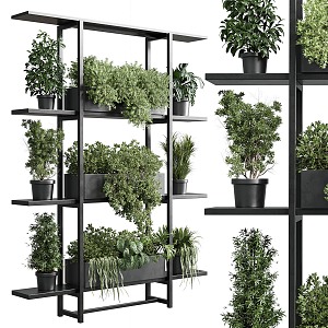 potted plant green plant rack 3d model