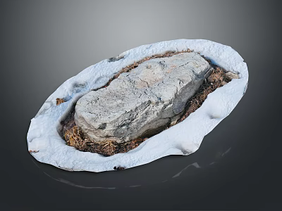 Rustic Wood And Stone Decorative Piece With Natural Soil And Shavings Elements 3d model
