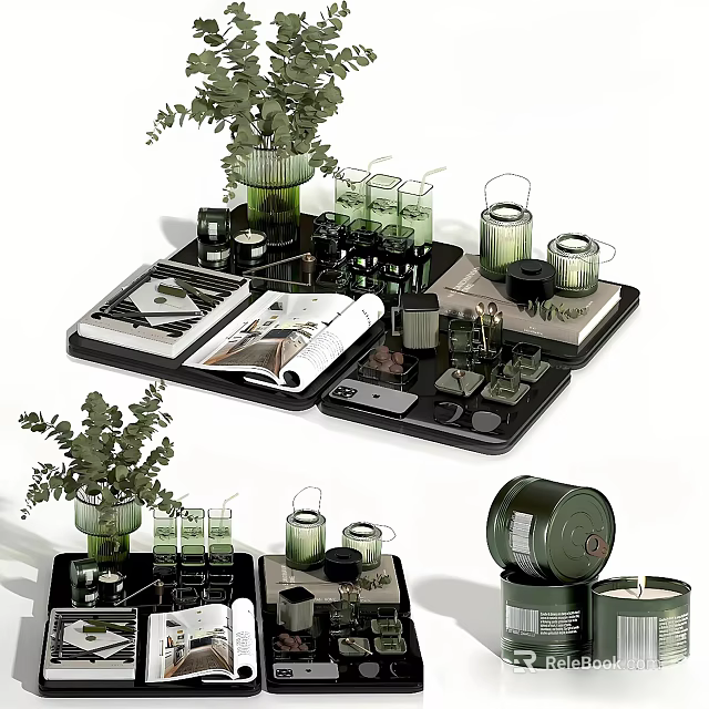 Stylish Decorative Ornament Set With Green Plants Glass Jars Trays Candles And Open Books 3d model 