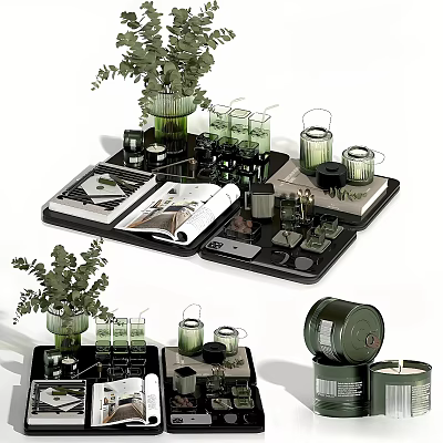Stylish Decorative Ornament Set With Green Plants Glass Jars Trays Candles And Open Books 3d model