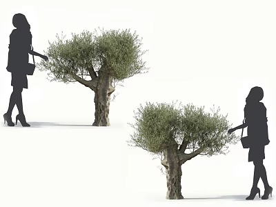 Olive Trees with silhouettes of women approaching carrying handbags and wearing high heels 3d model