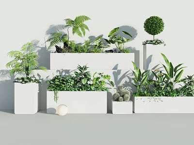 Stylish Bonsai and Potted Plants Arrangement With White Planters and Lush Green Foliage 3d model
