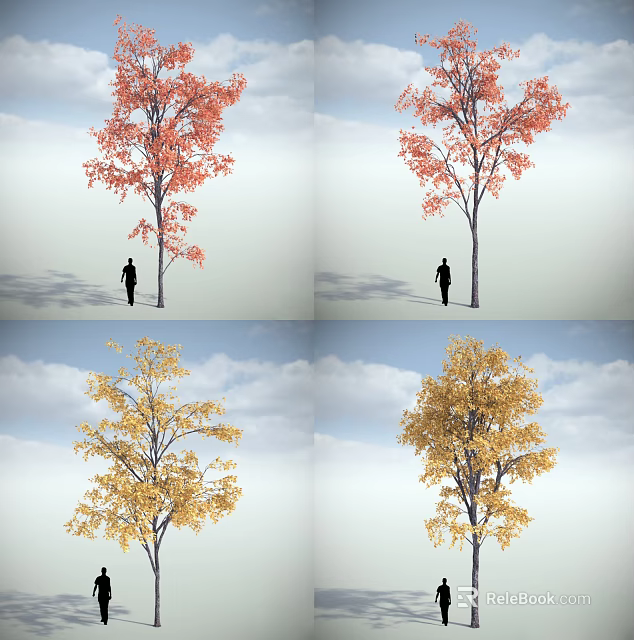 Tall Deciduous Arbor With Red Yellow Leaves And Person Silhouette Under Cloudy Sky 3d model 