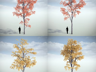 Tall Deciduous Arbor With Red Yellow Leaves And Person Silhouette Under Cloudy Sky 3d model
