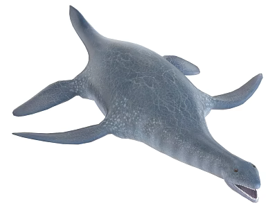 Prehistoric Marine Reptile Model With Gray Skin Long Neck And Flippers 3d model