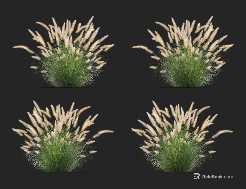 Potted Grass Plants With White Flower Spikes And Lush Green Leaves 3d model 