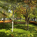 Beautiful Park Landscape With Sunlight Through Trees Green Grass Fallen Leaves And Wooden Walkway