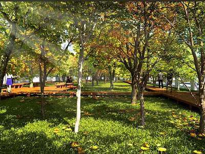 Beautiful Park Landscape With Sunlight Through Trees Green Grass Fallen Leaves And Wooden Walkway 3d model
