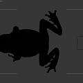 Green Frog Next to Colorful Rubik's Cube on Gray Background