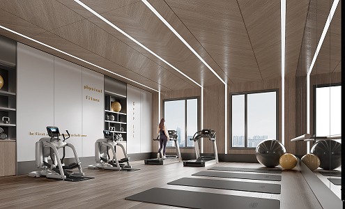 Modern Gym 3d model