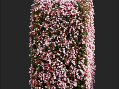 Cylindrical Decorative Shrub with Lush Green Foliage and Pink Flowers 3d model