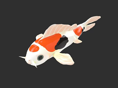 Colorful Koi Fish With Red White Black Patterns And Elegant Fins Swimming 3d model