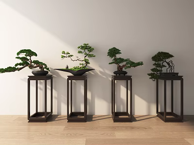 Decorative Ornament Set with Bonsai Trees on Black Tall Stands Against White Wall Wooden Floor 3d model