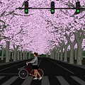 Road Facilities Featuring Pink Cherry Blossom Trees Traffic Lights Zebra Crossing And Cyclist
