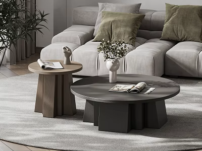 Modern Coffee Tables with Potted Plant Books and Green Cushions by Grey Sofa on Rug 3d model