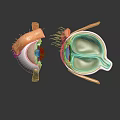 modern eye structure human eye structure eyeball 3d model