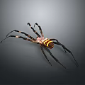Detailed View Of Large Spider With Yellow Black Striped Body And Long Legs