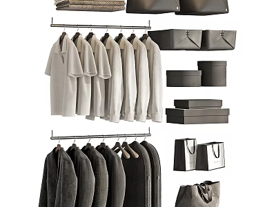 Light And Dark Clothes Hanging On Racks With Storage Accessories 3d model