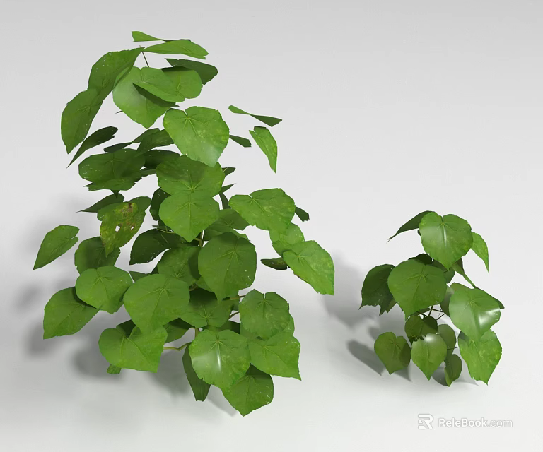 Lush Green Shrubs With Vibrant Leaves In Two Different Sizes 3d model