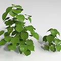 Lush Green Shrubs With Vibrant Leaves In Two Different Sizes 3d model