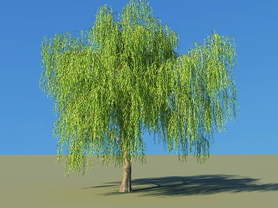 Willow Tree with Lush Green Drooping Branches Against Clear Blue Sky and Gray Ground 3d model