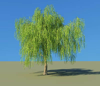 Willow Tree with Lush Green Drooping Branches Against Clear Blue Sky and Gray Ground 3d model