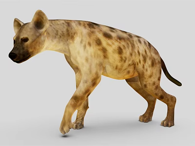 Brown Spotted Reptile Walking On Gray Surface With Yellowish Skin Patterns 3d model