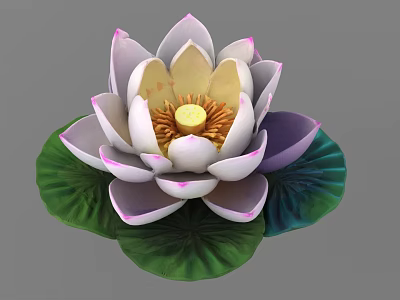 Beautiful White Lotus Flower With Pink Edges Yellow Center And Green Leaves 3d model