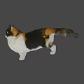 Realistic Calico Cat With White Black Brown Fur Standing On Green Background