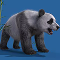 Fluffy Black And White Panda Standing With Green Bamboo Leaves On Blue Background