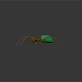 Colorful Spider With Green Body And Orange Legs On Black Background With Reflection
