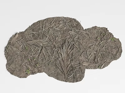 Natural Ground Cover With Dried Grass Blades Small Green Plants And Earth Texture 3d model