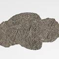 Natural Ground Cover With Dried Grass Blades Small Green Plants And Earth Texture