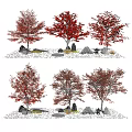 Modern Tree Landscape Tree Autumn Arbor Maple 3d model