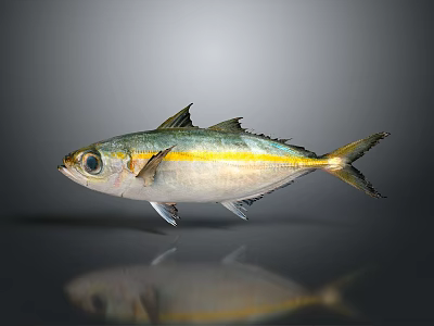 Decorative Fish Ornament With Silver Body Yellow Stripe And Black Eyes On Gray Background With Reflection 3d model