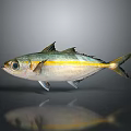 Decorative Fish Ornament With Silver Body Yellow Stripe And Black Eyes On Gray Background With Reflection