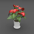 Decorative Potted Plant with Red Flowers and Green Leaves in White Pot