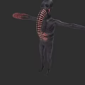 Mysterious Alien Creature With Black Body Red Stripes Tubular Structure And Outstretched Arms